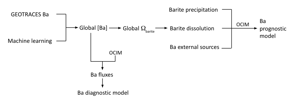 Ba mechanistic and diagnostic model flowchart