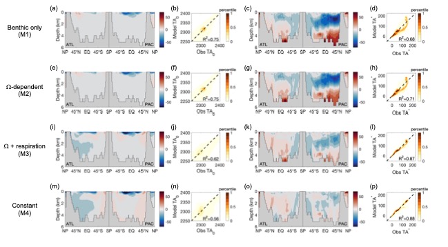 Alkalinity model mismatch with observations