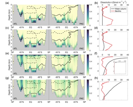 CaCO3 dissolution patterns